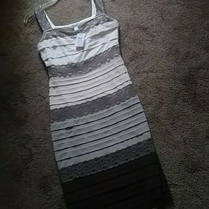 Caches bodycon with lace nwt size 4